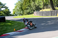 Middle Group Black Bikes